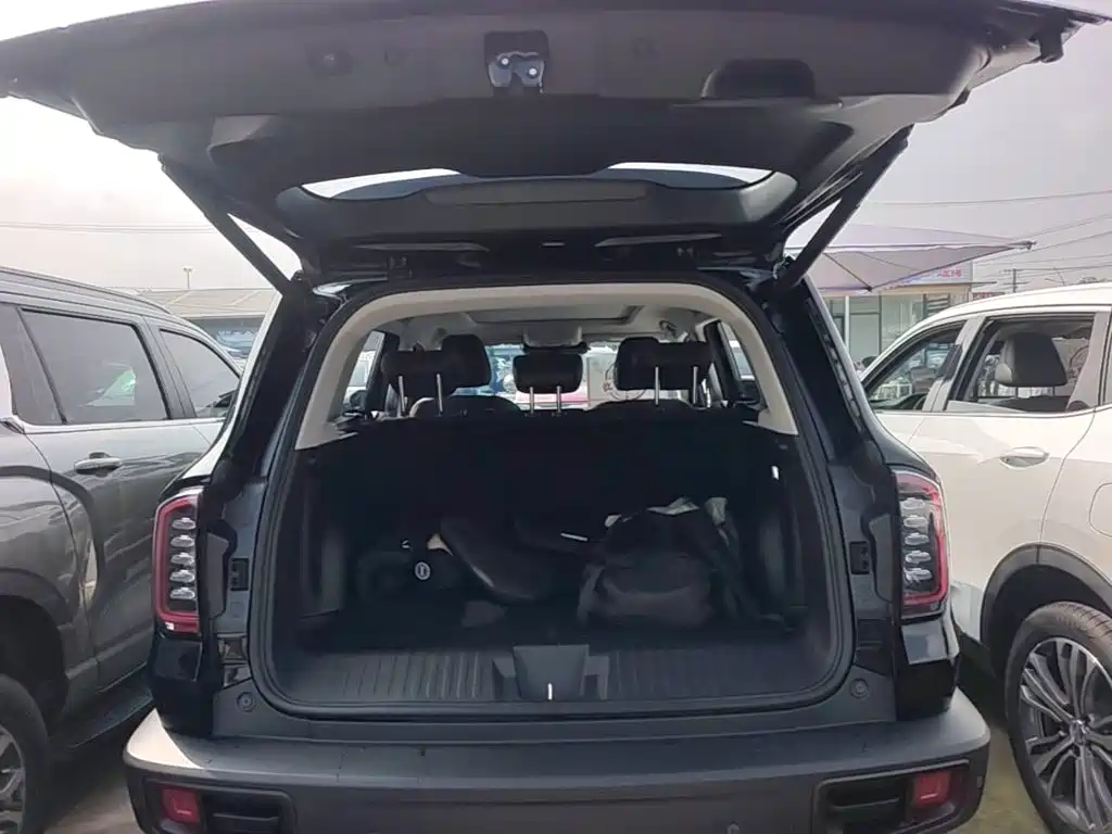 Haval Big Dog — фото 19