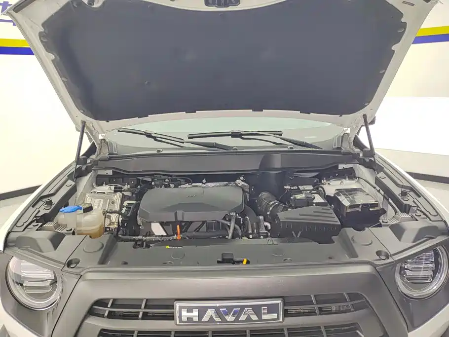 Haval Big Dog — фото 10