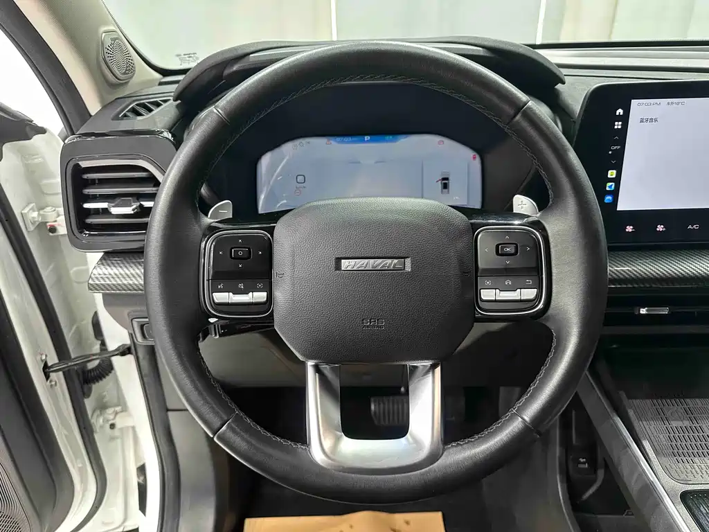 Haval Cool Dog — фото 11