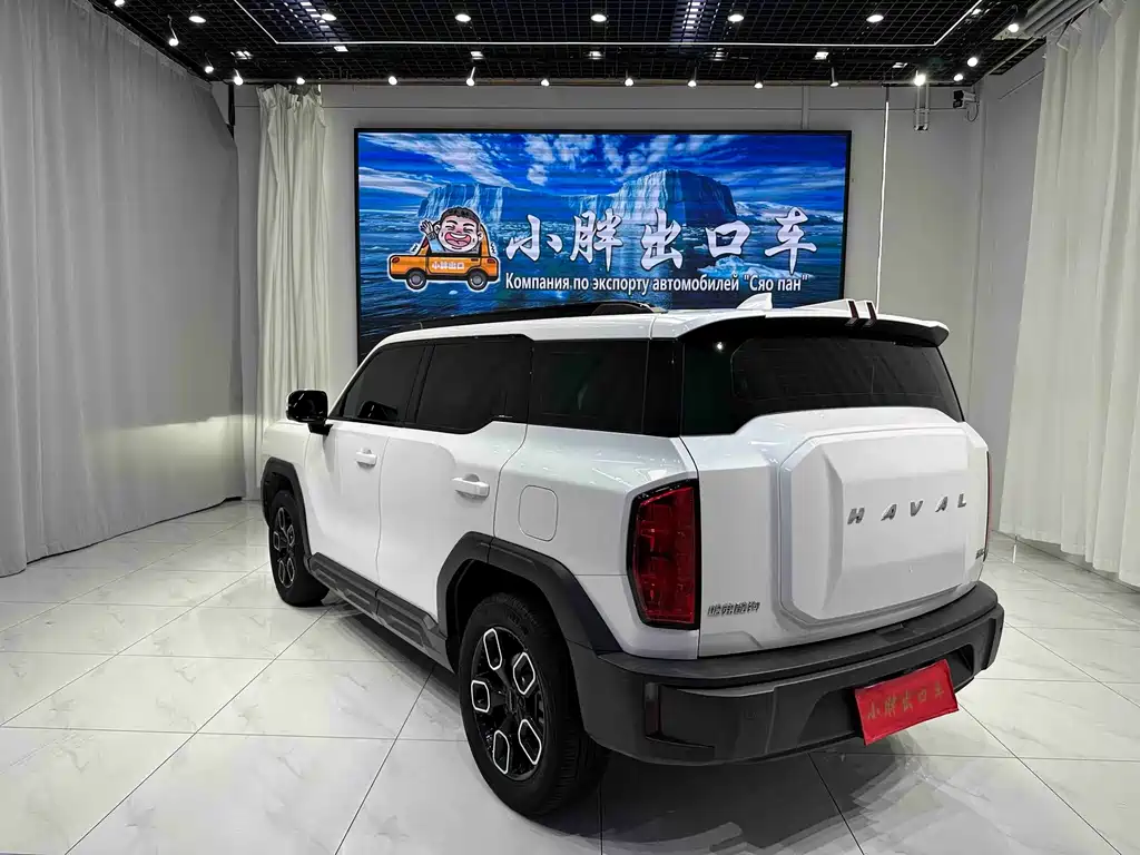 Haval Cool Dog — фото 6