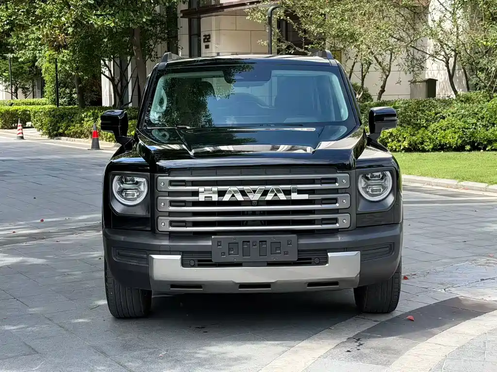 Haval Menglong New Energy — фото 2