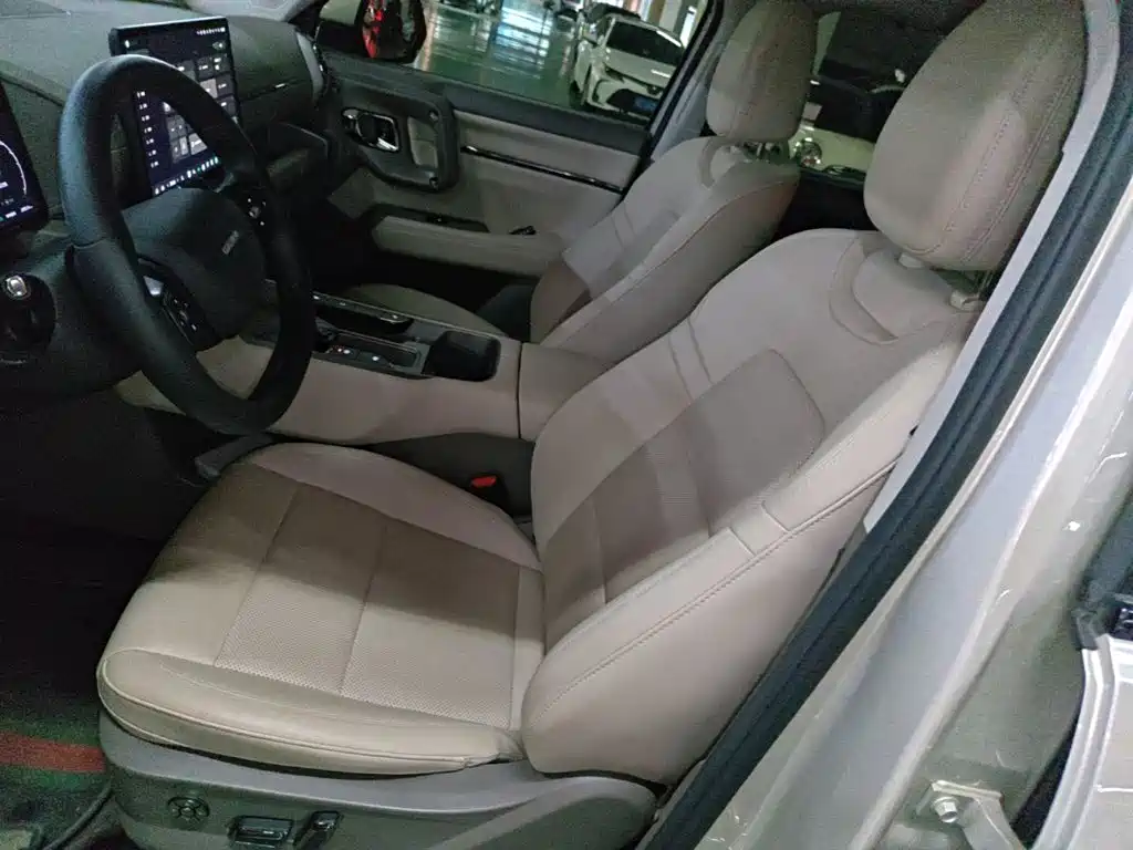 Haval Big Dog PLUS New Energy — фото 15