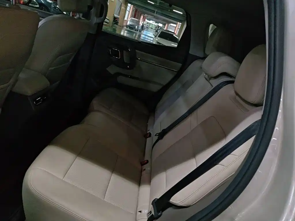Haval Big Dog PLUS New Energy — фото 17