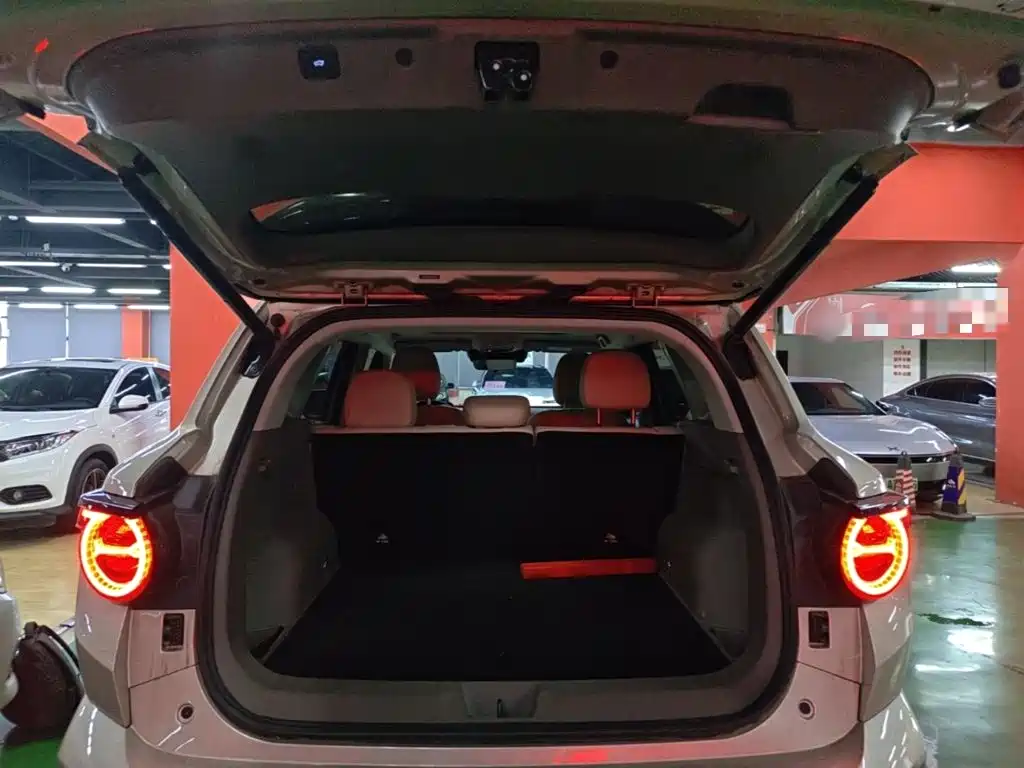 Haval Big Dog PLUS New Energy — фото 19