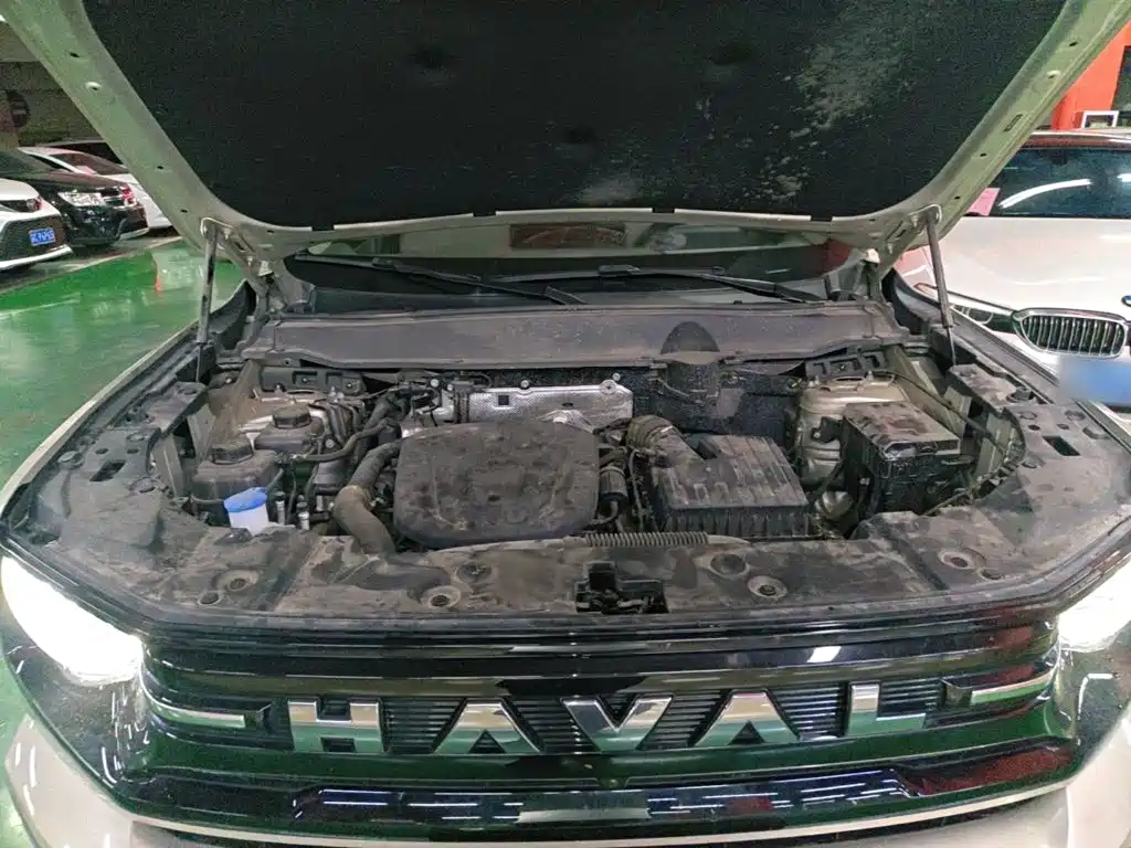 Haval Big Dog PLUS New Energy — фото 20