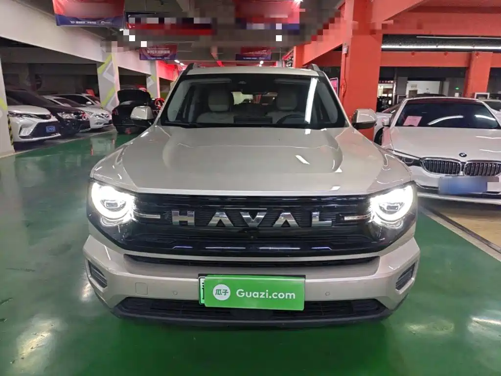 Haval Big Dog PLUS New Energy — фото 3