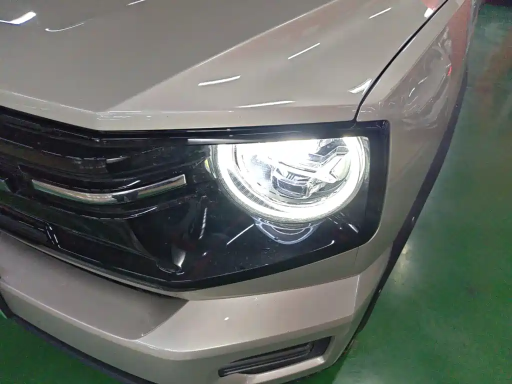 Haval Big Dog PLUS New Energy — фото 24