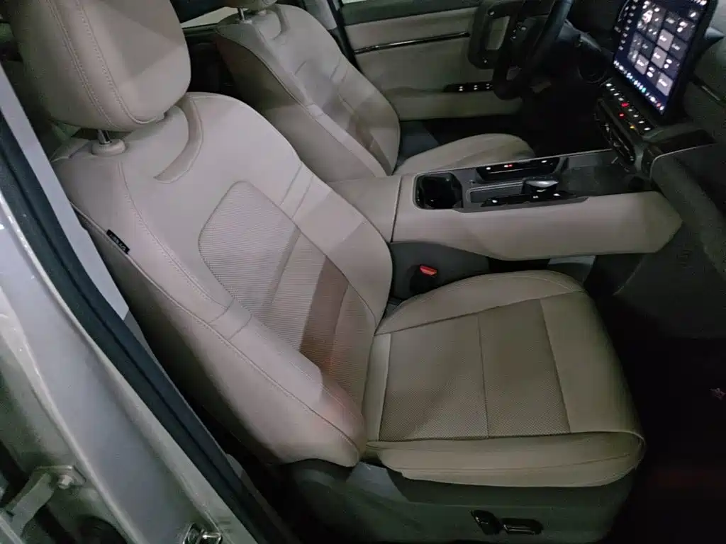 Haval Big Dog PLUS New Energy — фото 25