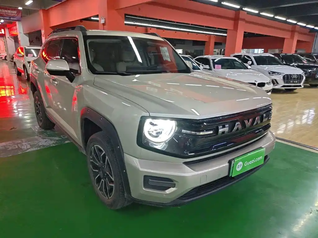 Haval Big Dog PLUS New Energy — фото 4