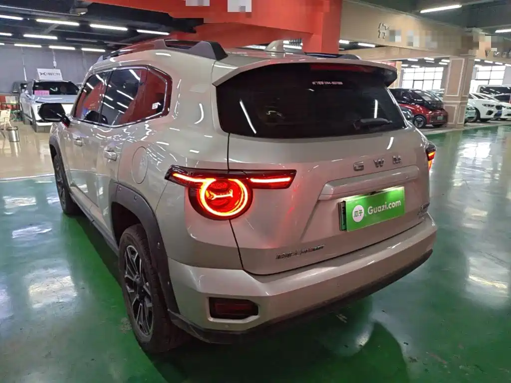 Haval Big Dog PLUS New Energy — фото 5