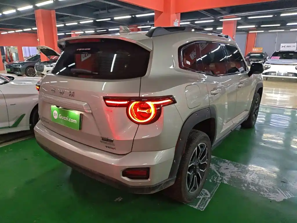 Haval Big Dog PLUS New Energy — фото 7