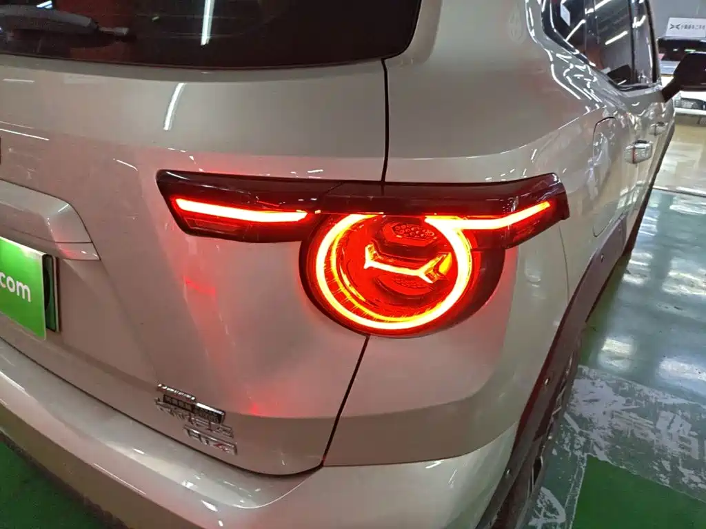 Haval Big Dog PLUS New Energy — фото 8