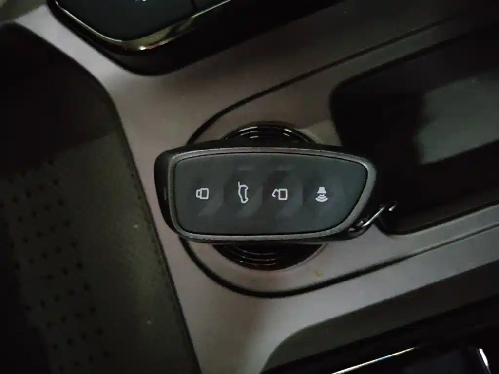 Haval Big Dog PLUS New Energy — фото 9