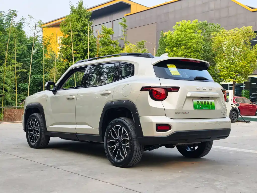Haval Big Dog PLUS New Energy — фото 3