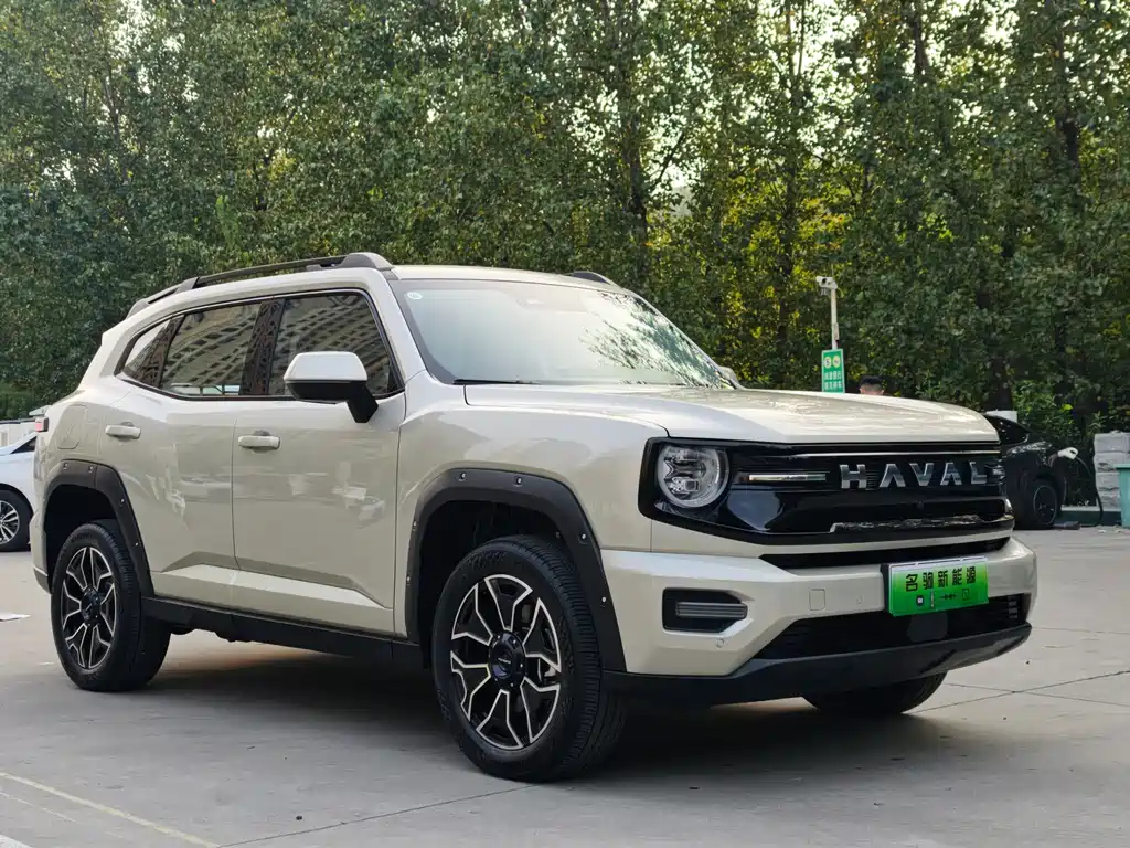 Haval Big Dog PLUS New Energy — фото 4