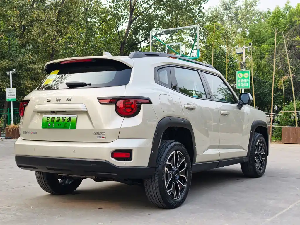 Haval Big Dog PLUS New Energy — фото 6