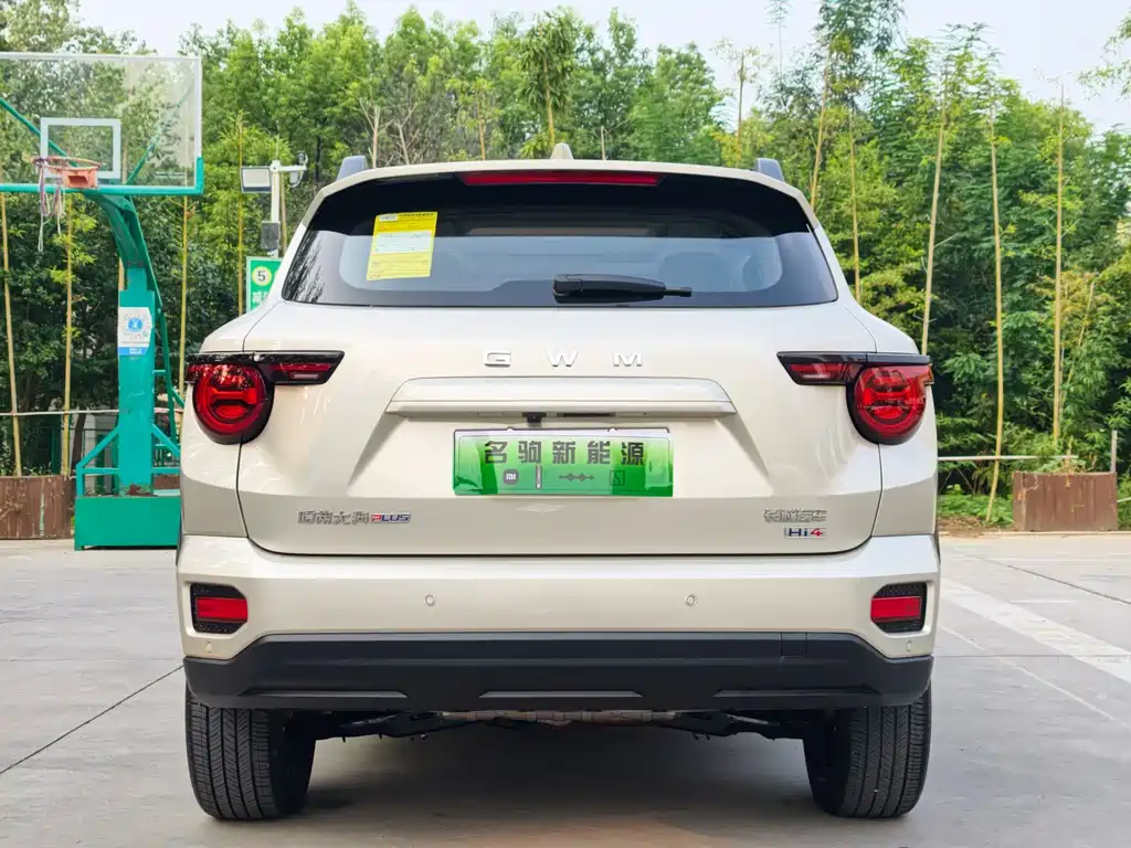 Haval Big Dog PLUS New Energy — фото 7