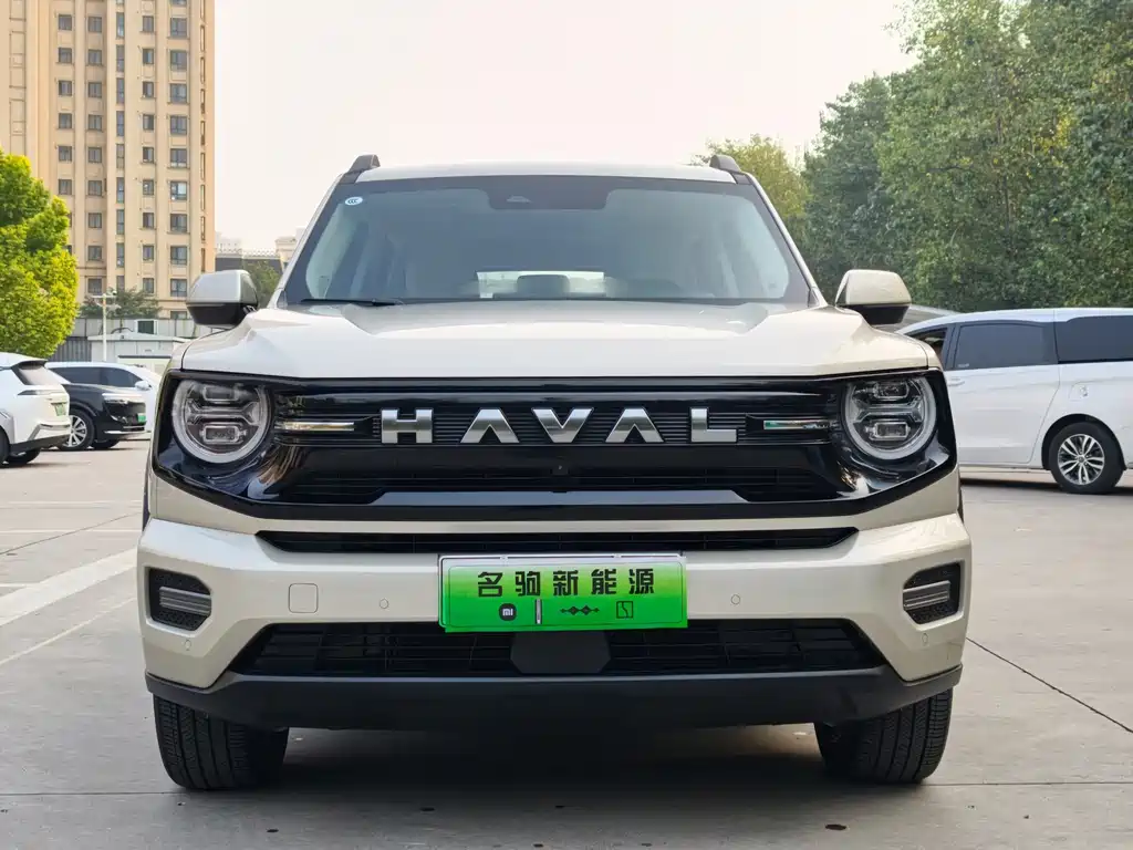 Haval Big Dog PLUS New Energy — фото 8