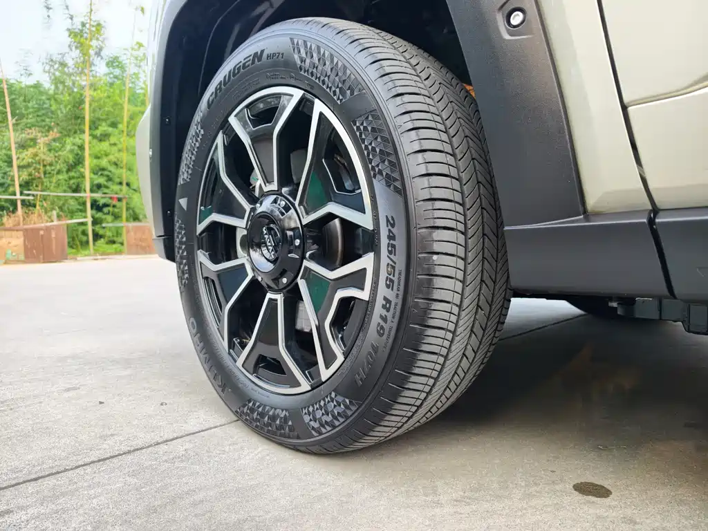 Haval Big Dog PLUS New Energy — фото 9