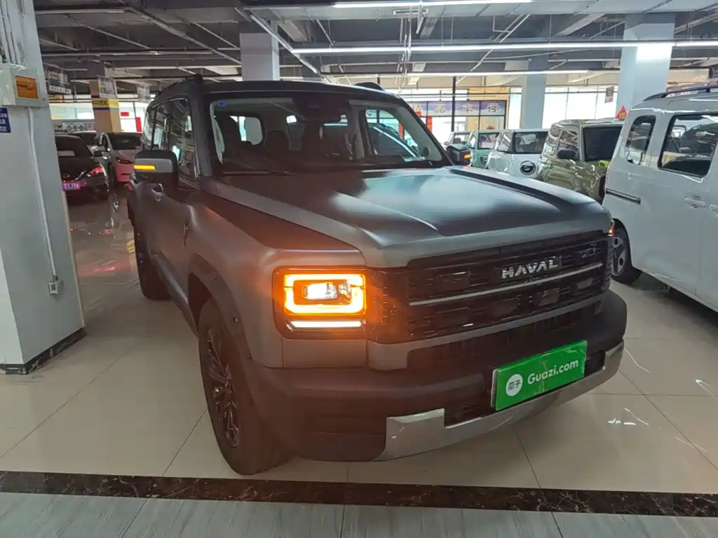 Haval Menglong New Energy — фото 4