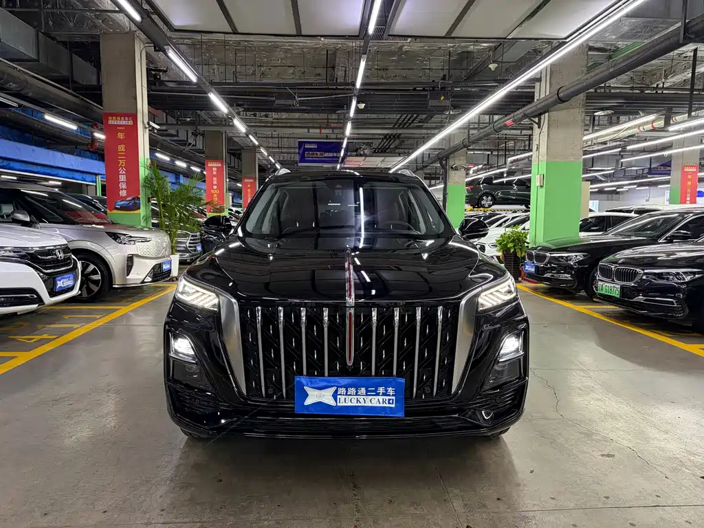 Hongqi Hongqi HS5 — фото 3