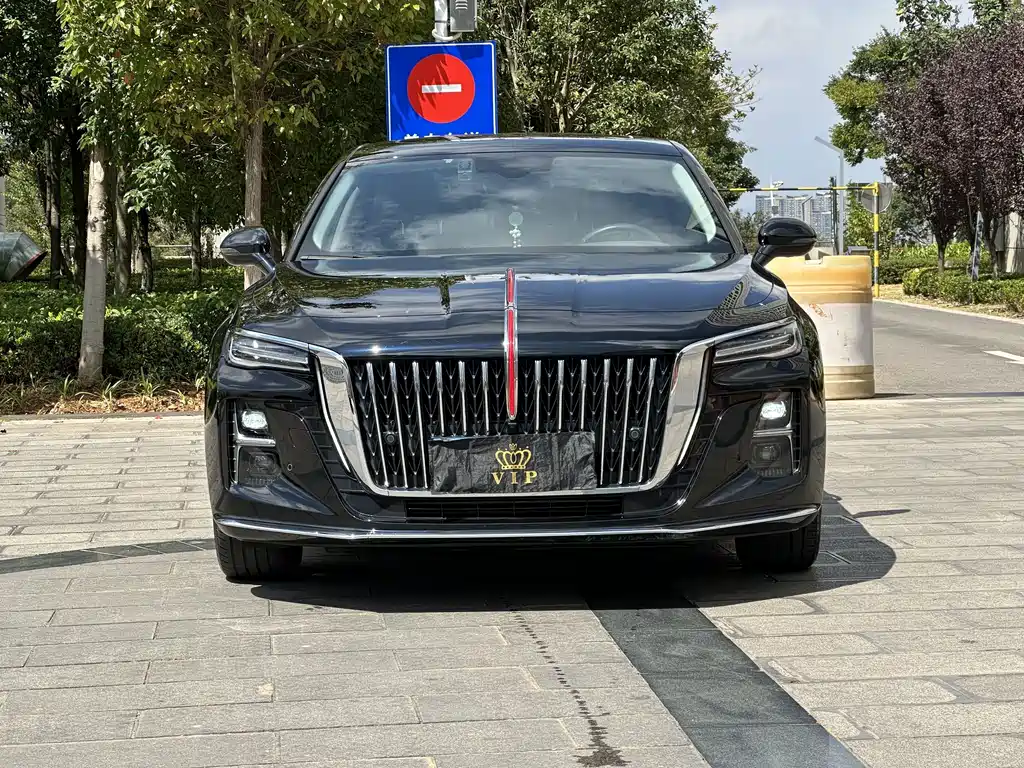 Hongqi Hongqi H5 — фото 2