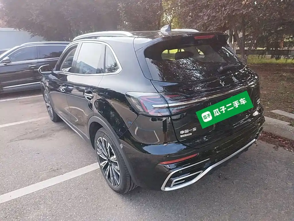 Hongqi Hongqi HS5 — фото 23