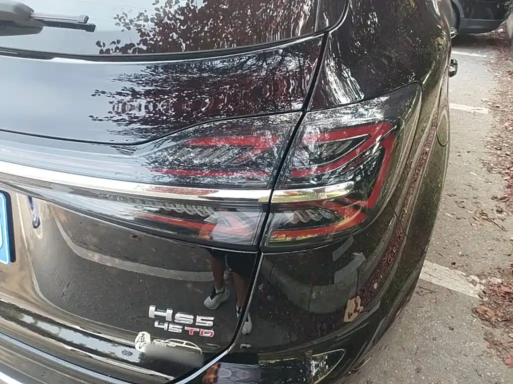 Hongqi Hongqi HS5 — фото 24