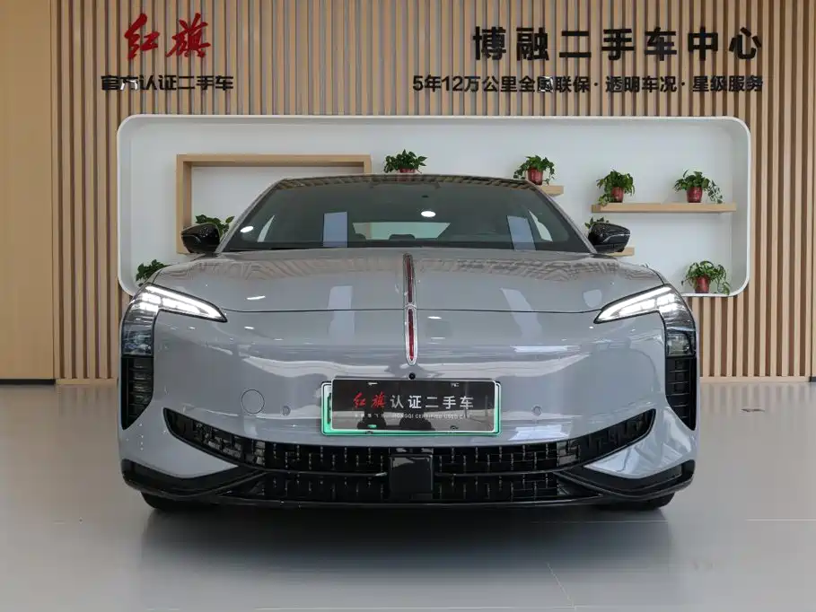 Hongqi Hongqi EH7 — фото 4