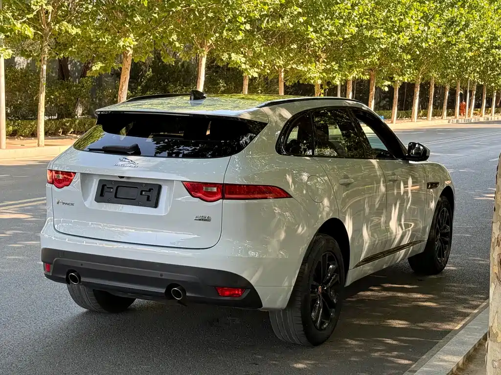 Jaguar F-PACE — фото 6