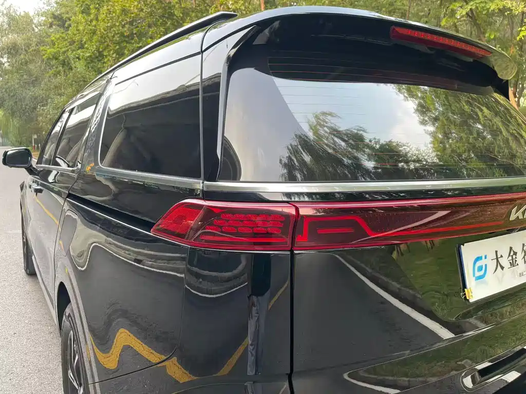Kia Carnival — фото 16