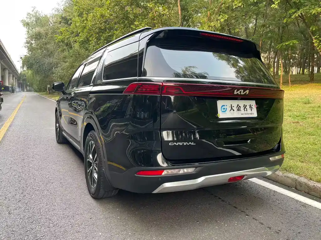 Kia Carnival — фото 17