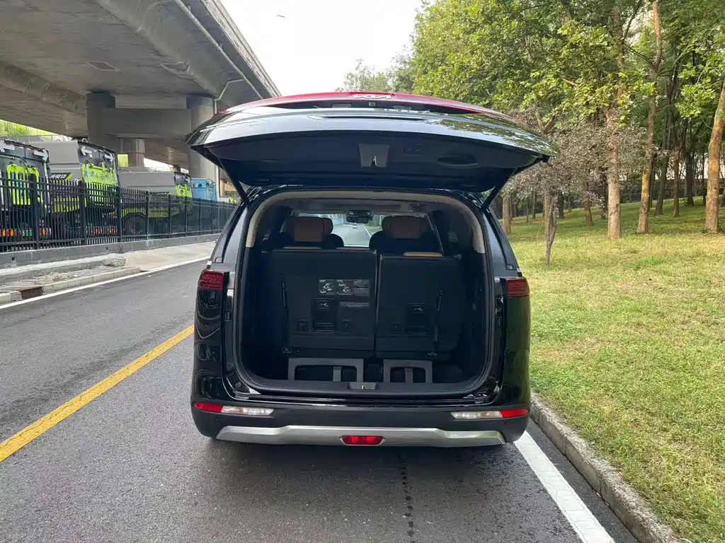 Kia Carnival — фото 18