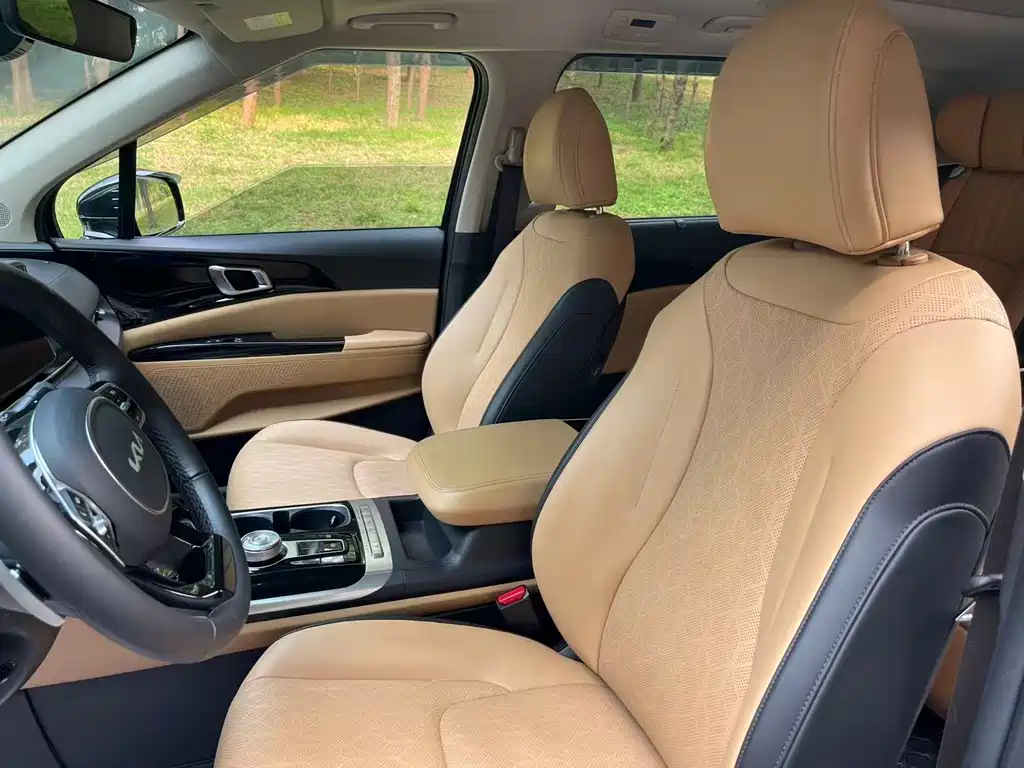Kia Carnival — фото 10