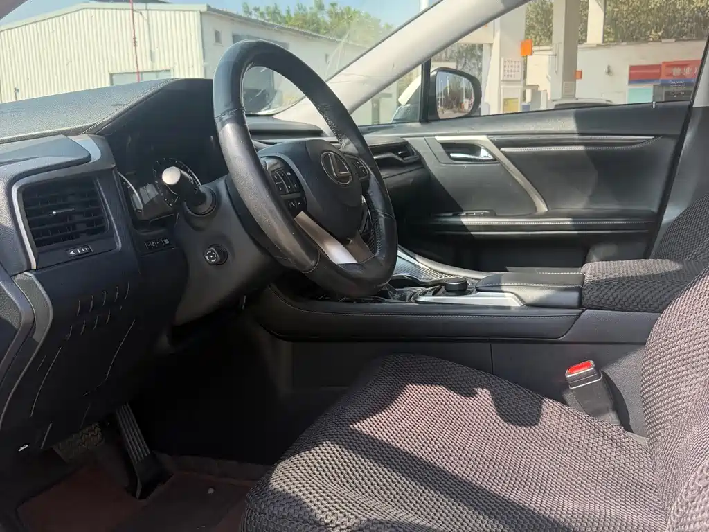 Lexus RX — фото 10