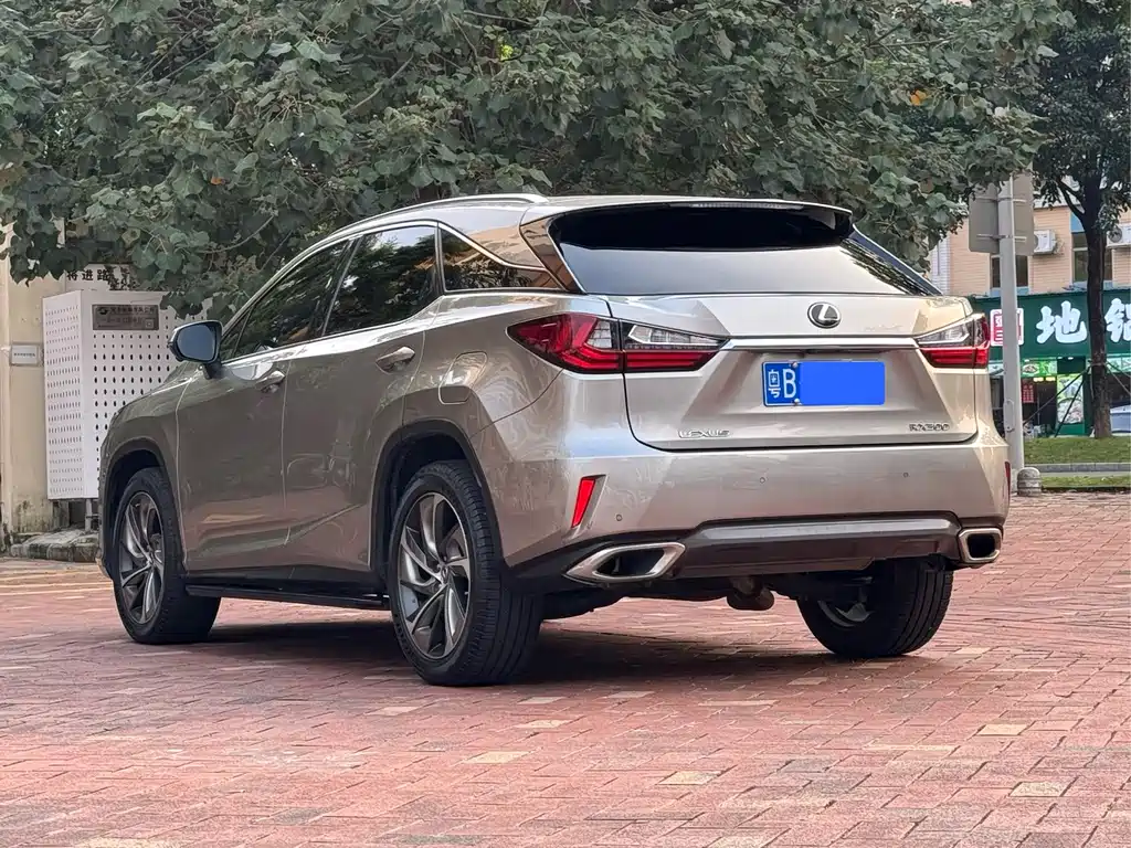 Lexus RX — фото 7
