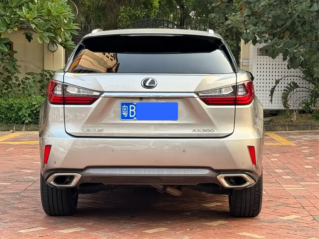 Lexus RX — фото 8