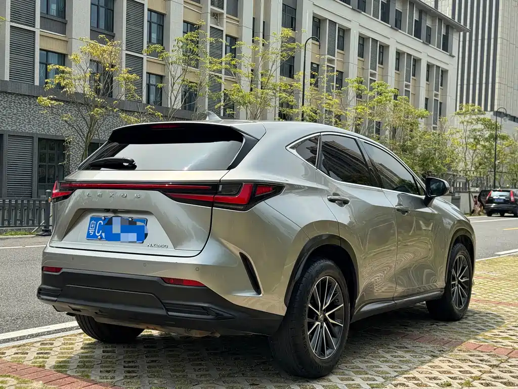 Lexus NX — фото 9
