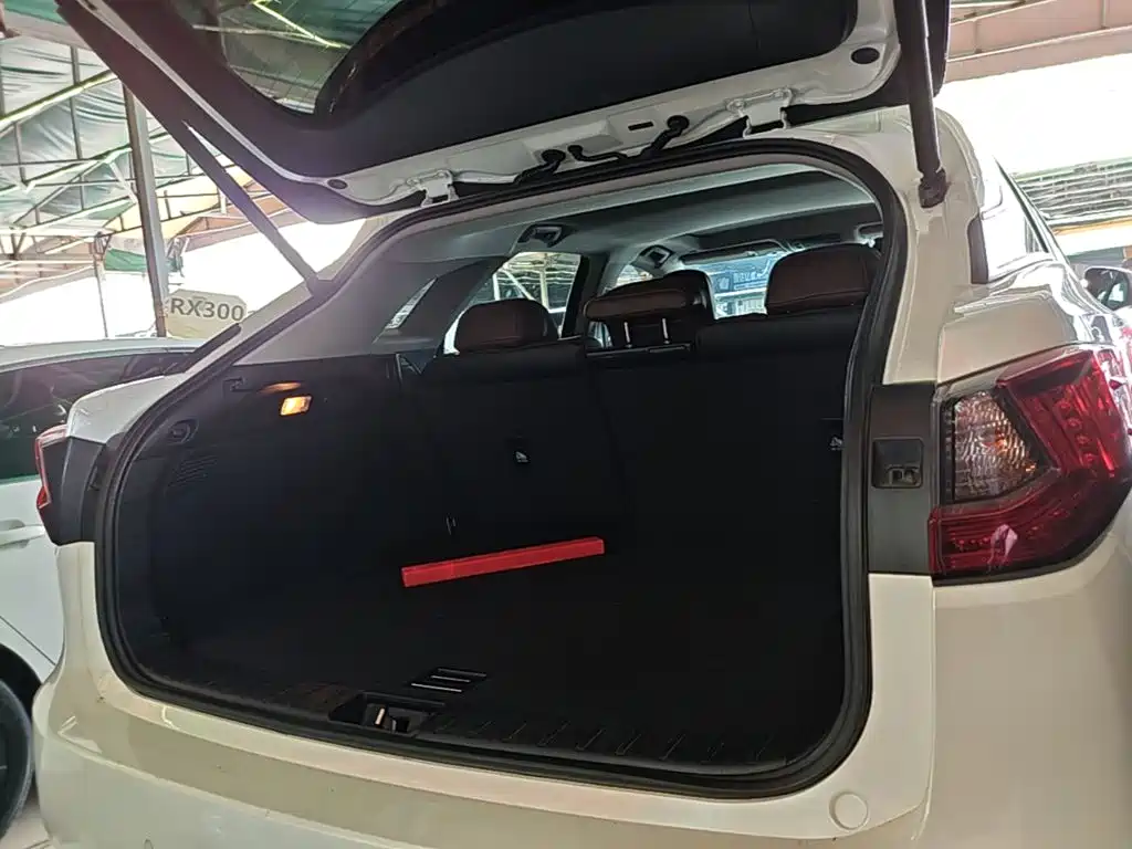 Lexus RX — фото 19