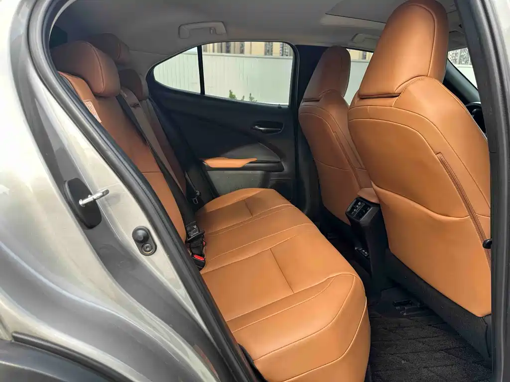 Lexus UX New Energy — фото 19
