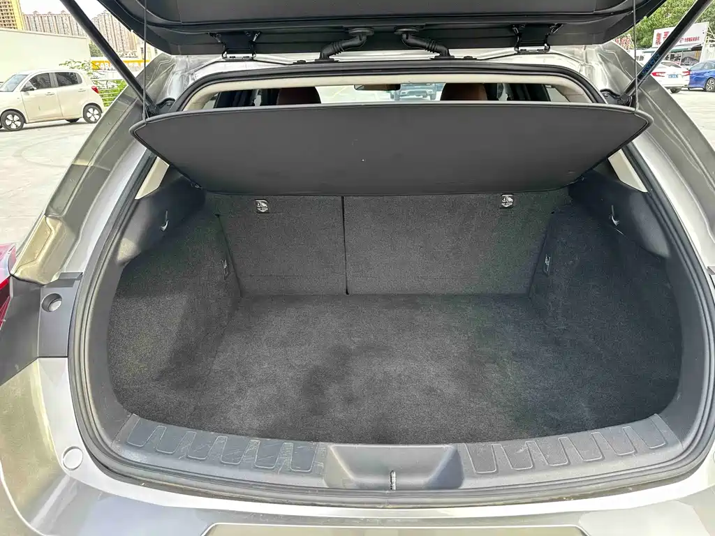 Lexus UX New Energy — фото 20