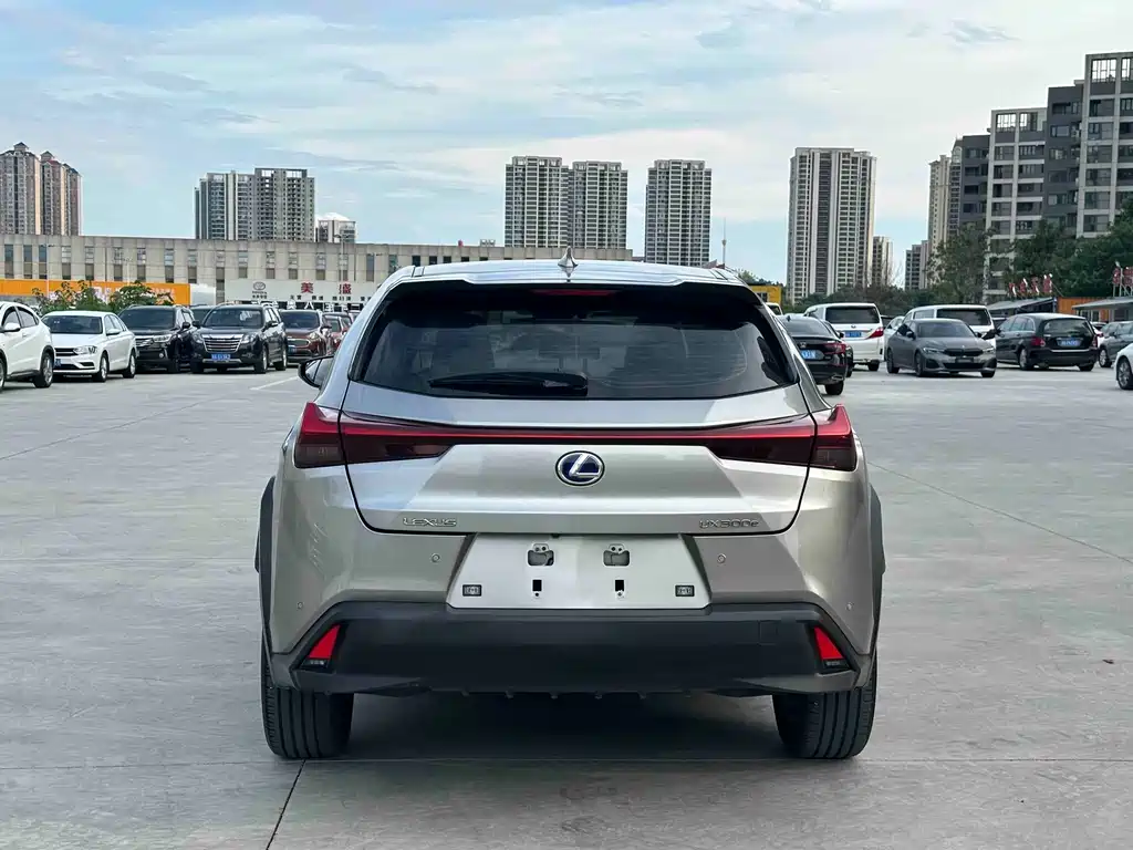 Lexus UX New Energy — фото 5