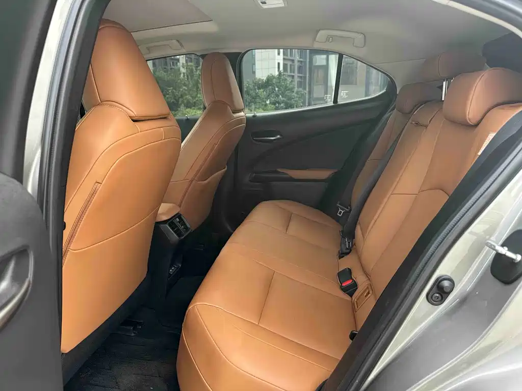 Lexus UX New Energy — фото 10