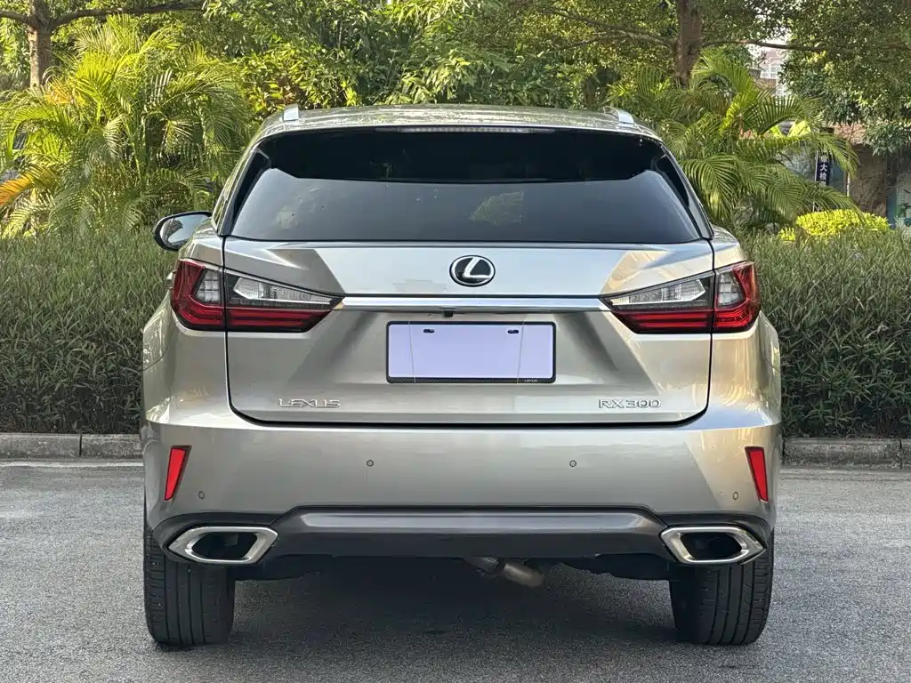 Lexus RX — фото 5