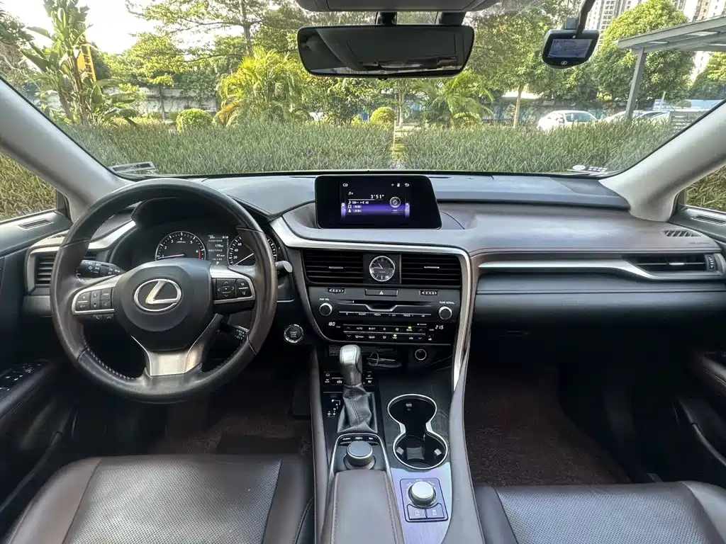 Lexus RX — фото 10