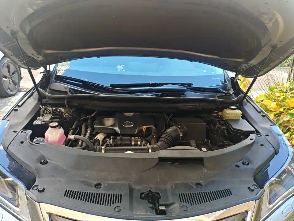 Lexus RX — фото 13
