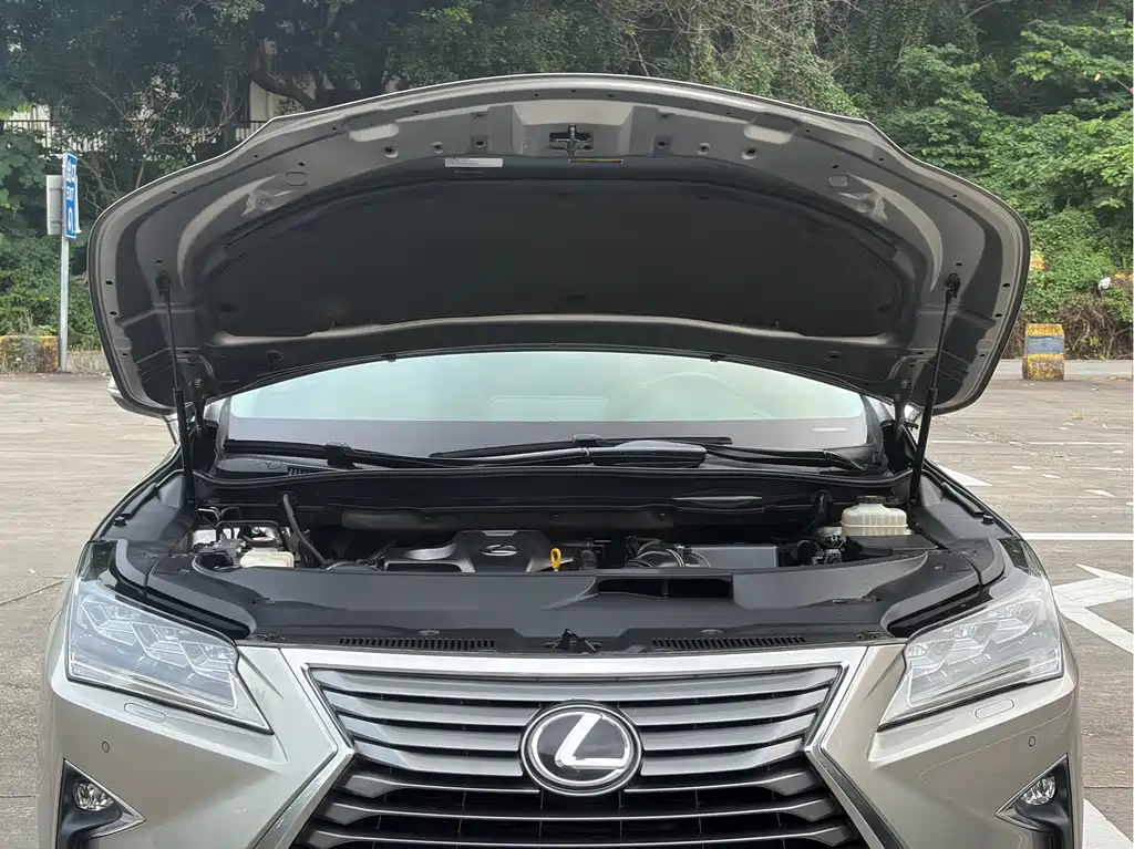 Lexus RX — фото 15