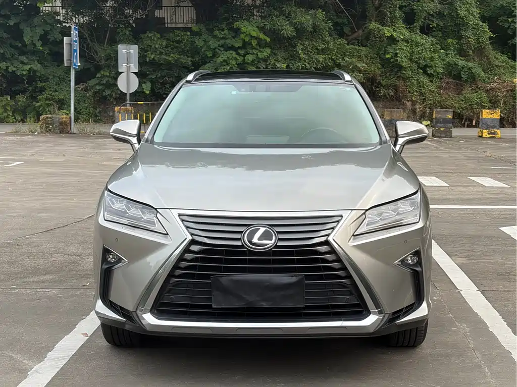 Lexus RX — фото 18