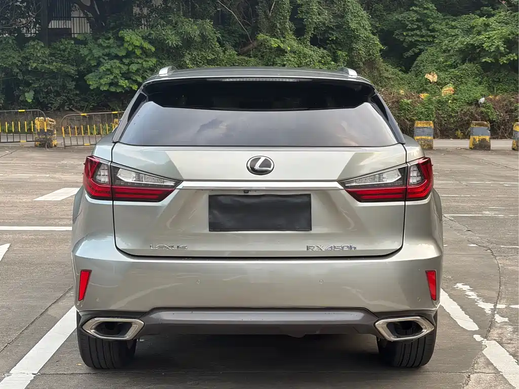 Lexus RX — фото 19