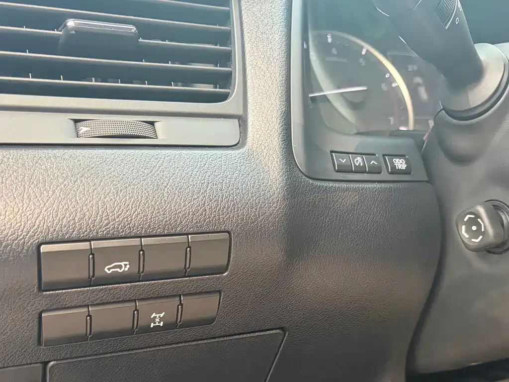 Lexus RX — фото 10